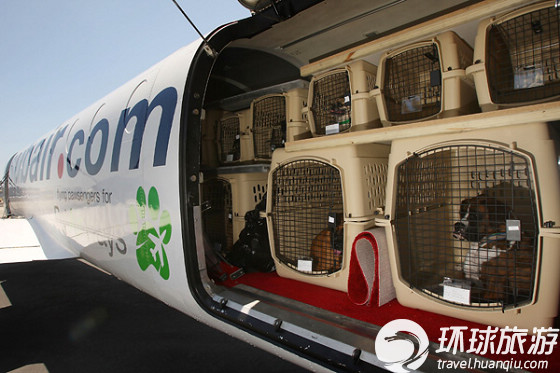 专运宠物的航空公司 纽约飞洛杉矶单程299美元