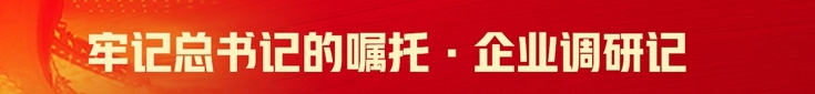 顶部横幅