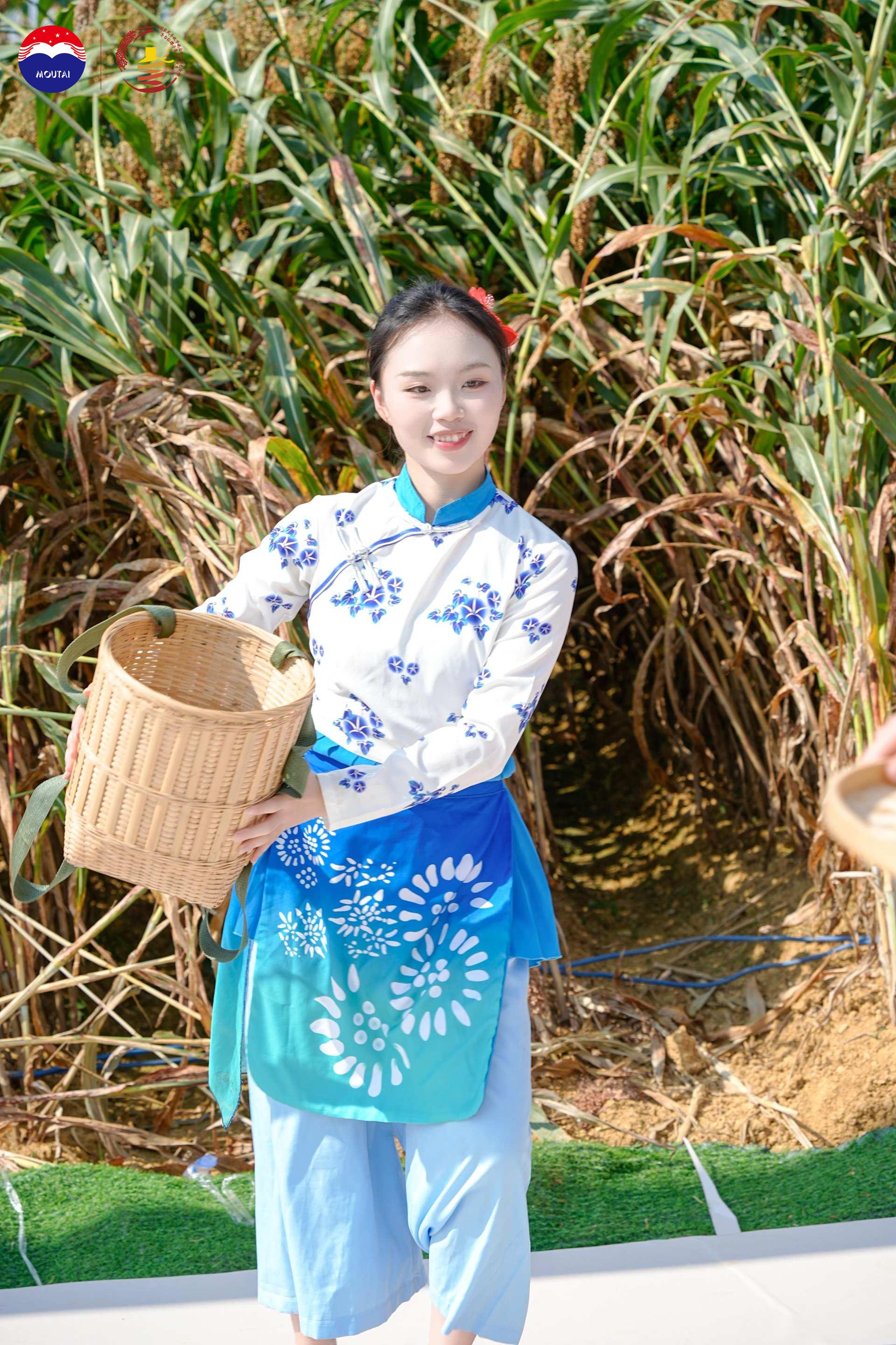 iQOO Z9 Turbo+5G手机天猫促销价1869元