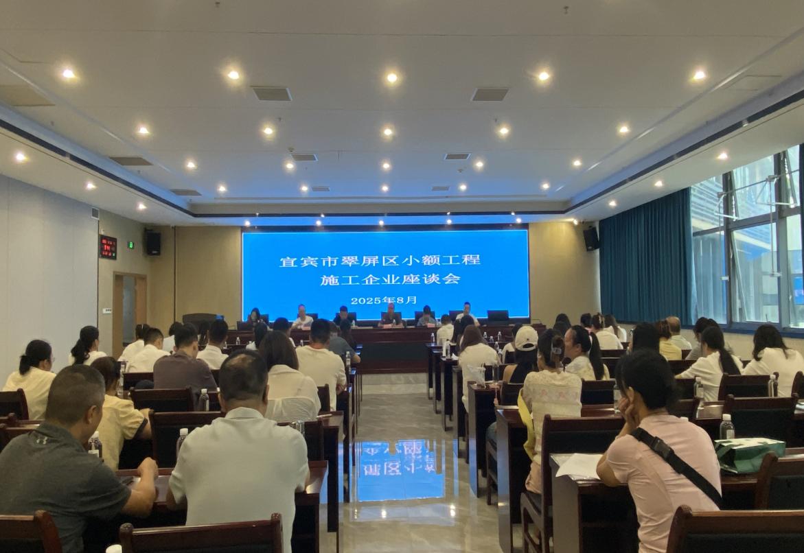 Yibin City的CUIPING区举行了有关进入小型项目的企业