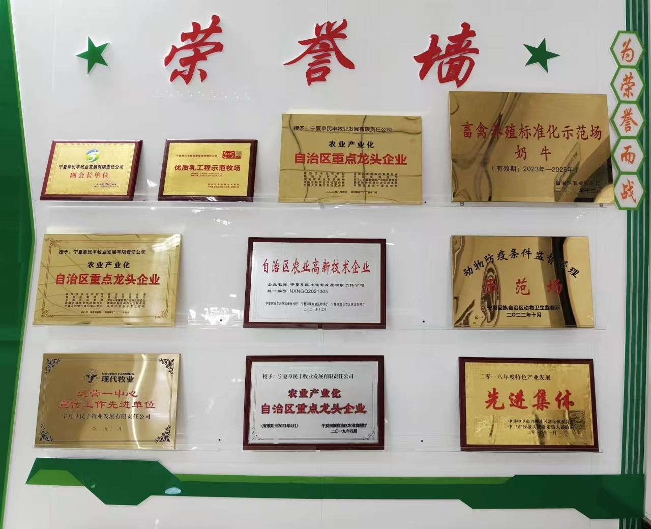 二十四节气看蒙牛丨立春走进今世牧业阜夷易近丰牧场