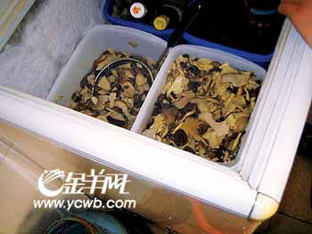 野生菌海鲜煲_野生湖甲鱼煲_野生菌(3)