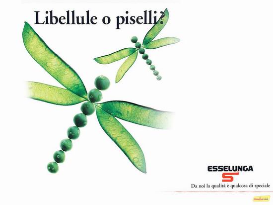 ����Ŵ�