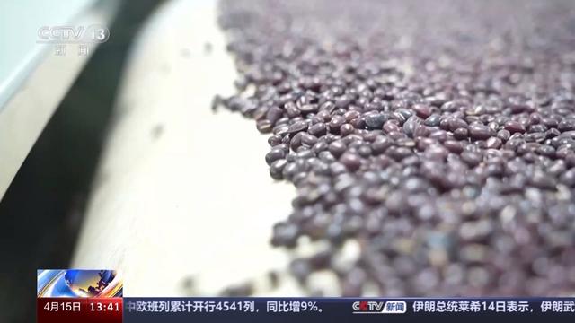 “新质生产力”走出实验室 这些粉条、面包里都有最新科研成果(图10) “新质生产力”走出实验室 这些粉条、面包里都有最新科研成果(图10)