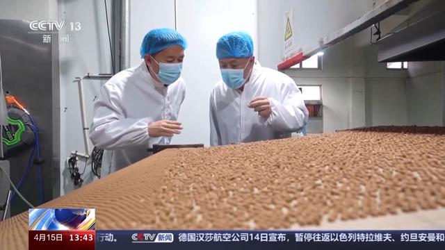“新质生产力”走出实验室 这些粉条、面包里都有最新科研成果(图12) “新质生产力”走出实验室 这些粉条、面包里都有最新科研成果(图12)