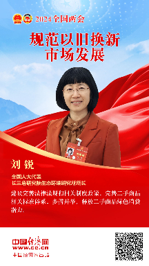 刘锐代表：规范以旧换新市场发展