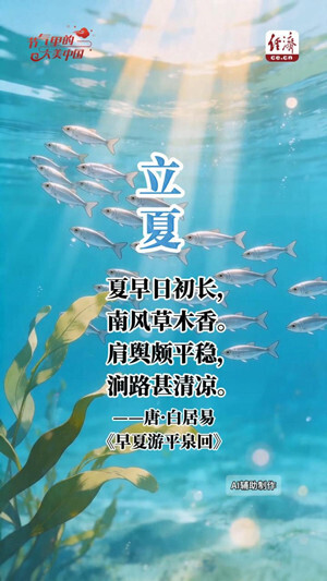 【节气里的大美中国】立夏：千帆静泊 万物生长