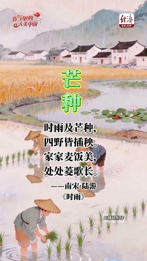 【节气里的大美中国】 芒种：生命时序的色彩美学