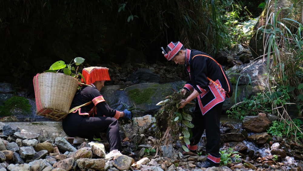 基层掠影之十三