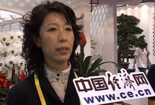 江苏花协副秘书长:提高科技水平促花卉产业更