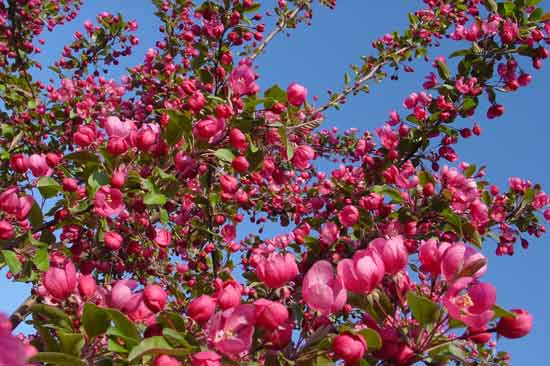 ͼ�ģ�������