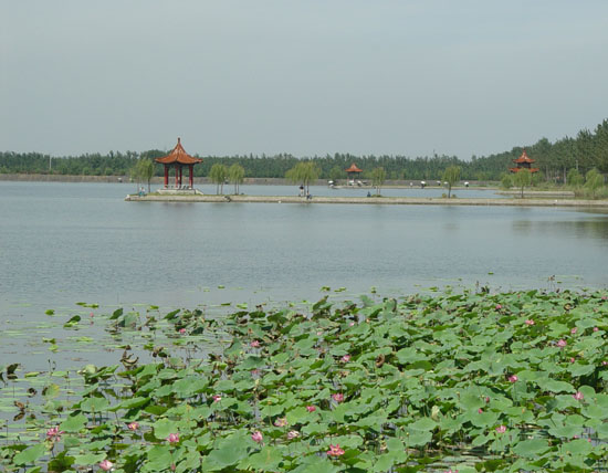 济宁:注重生态提升 彰显文化特色_中国经济网