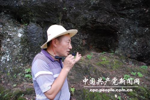 ��˳������ָ��ֳ��׼�ɭ������˾�������µ��ż��������Ծ� ��