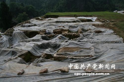 ��˾��������ַ�ܶ࣬��Ϊ�ο͡�ר�ҡ�ѧ���˽��о���������ʷ���Ļ����������ľ��ۡ������Ծ� ��