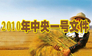 2010年两会-农业部负责人谈农业农村经济发展