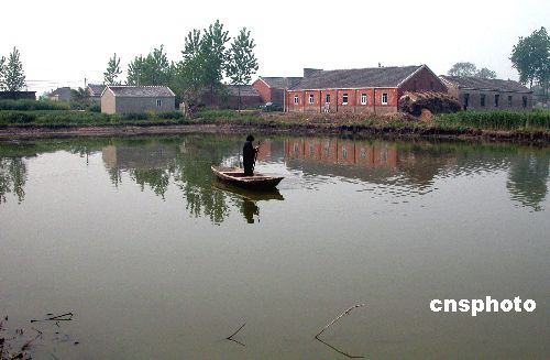 江苏大丰鱼塘里摸出21枚大小不等的楚国金币