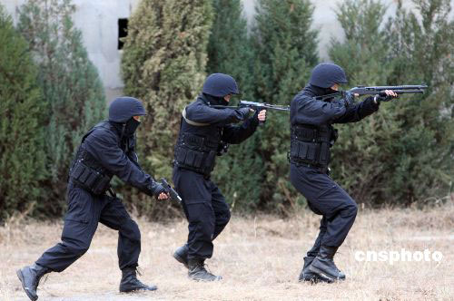 ʮһ��ʮ���գ����������ر����֧�ӽ���ץ�����ѻ����ؼݵȶ������������չʾ������֧����ķ����רҵ�ӡ�