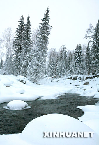 新疆喀纳斯出现雾凇奇观(组图)_中国经济网