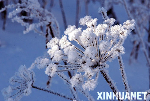 银装素裹冬季阿尔山风景如画美不胜收(组图)_