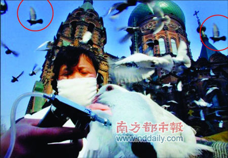 点击在新窗口查看全图 CTRL+鼠标滚轮放大或缩小