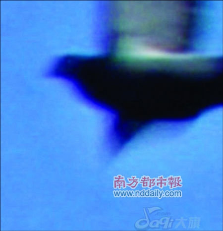 点击在新窗口查看全图 CTRL+鼠标滚轮放大或缩小