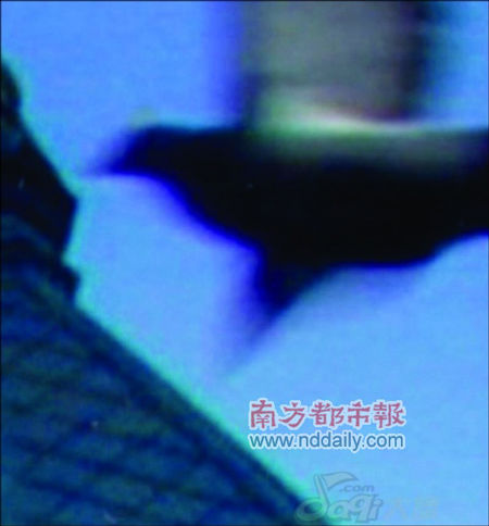 点击在新窗口查看全图 CTRL+鼠标滚轮放大或缩小