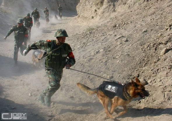 中国武警骑马反恐