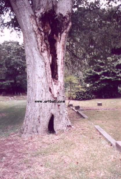 世界上最恐怖的灵异图片_中国经济网--国家经