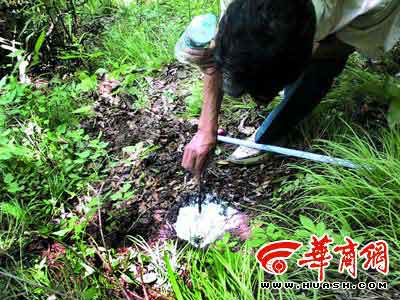 陕西深山内连发奇异事件 镇坪县寻找华南虎(图)