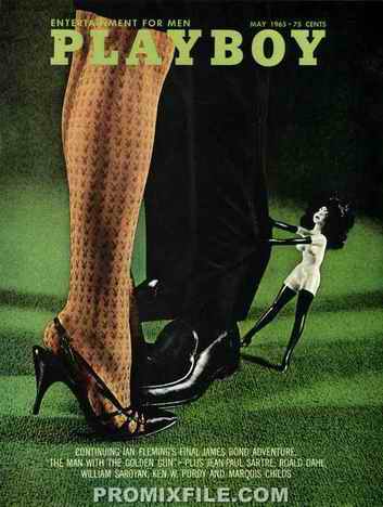 《花花公子》封面图集