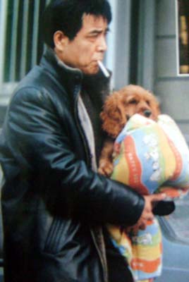 与启刚八字不合 郭晶晶田亮2010再续未了情?