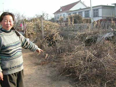 辽宁海城炸抢银行犯罪嫌疑人的5张“面孔”(图)