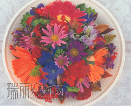 收藏最美瞬间(图)