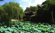 玩在蘇州之一--蘇州古典園林