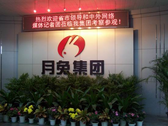 月兔集团:优化产业结构发展品牌战略走向更辉