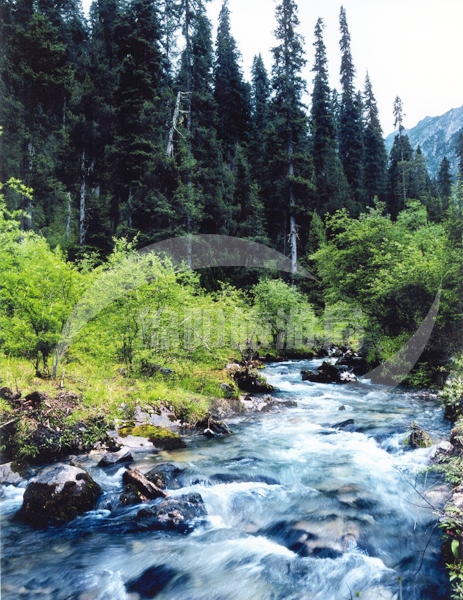 逍遥四川避暑游 清凉乐透天(图)