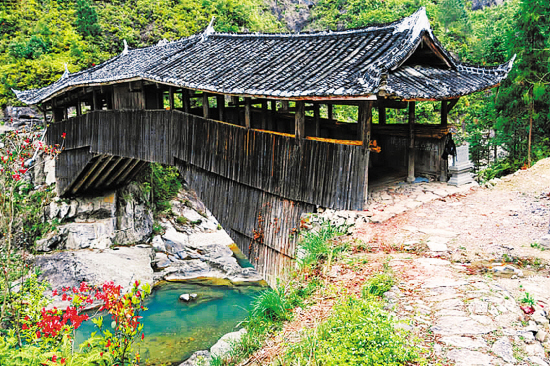 泰顺长坑的三条桥