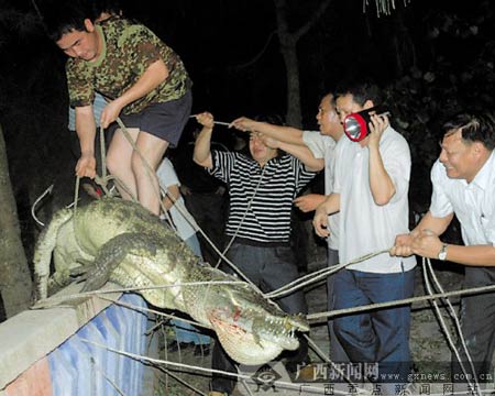 北海鳄鱼吃人续有关部门推诿遇难者家属未获赔