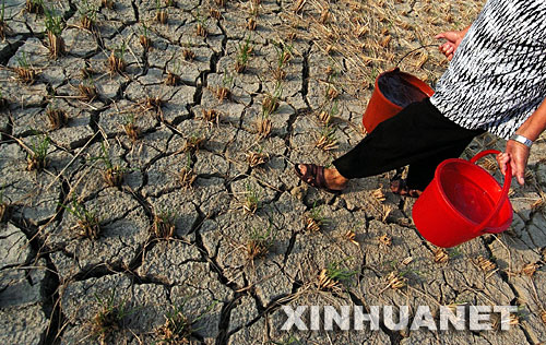 福建持续高温 局部地区出现中,大旱情(组图)