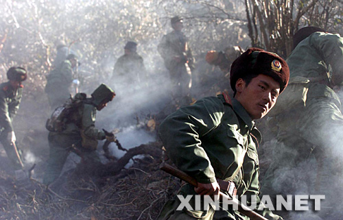 由内卫部队和黄金,森林,水电,交通部队组成,列入武警序列的还有公安
