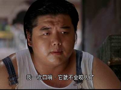 从默默无闻到明星大腕 《功夫》演员解析(组图)